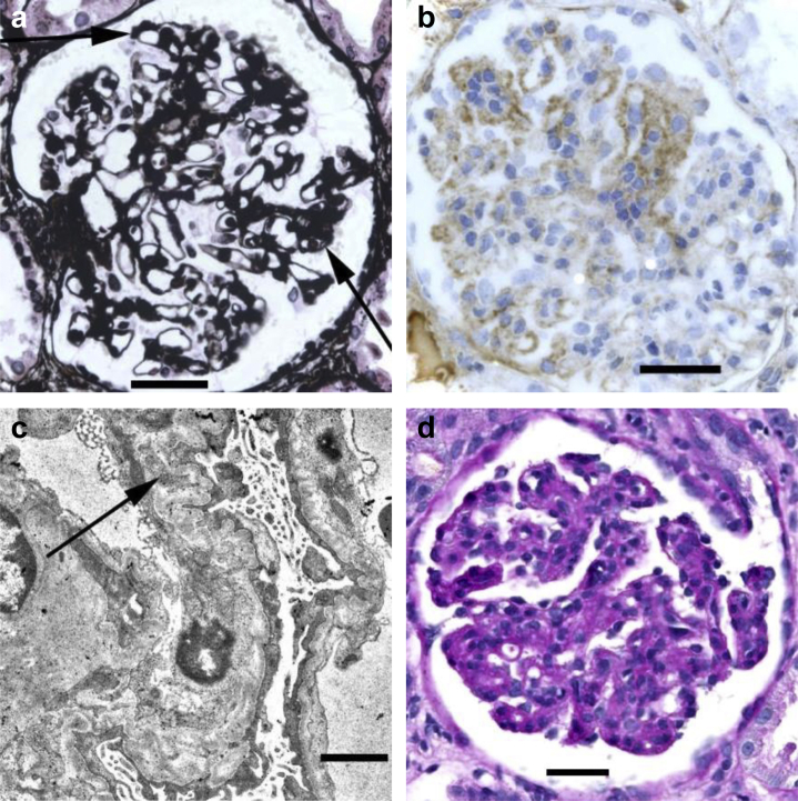 Figure 2