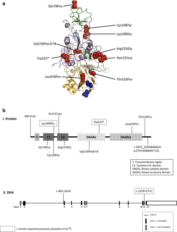 Figure 3