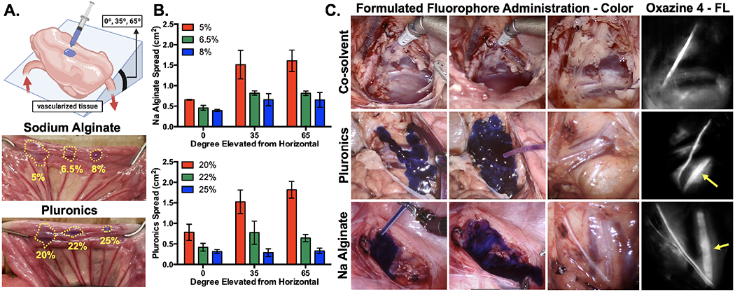 Figure 2: