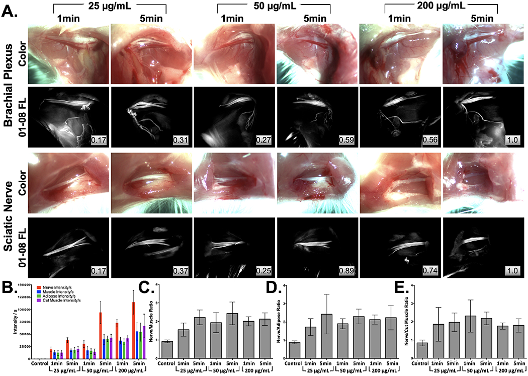 Figure 3: