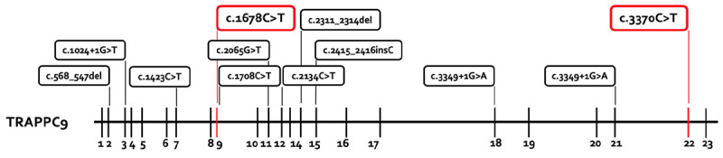 FIGURE 3