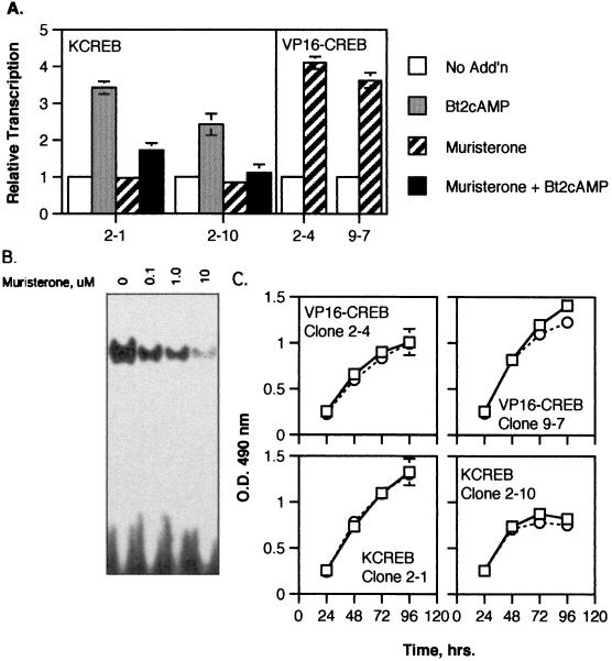 FIG. 4