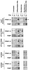 FIG. 6