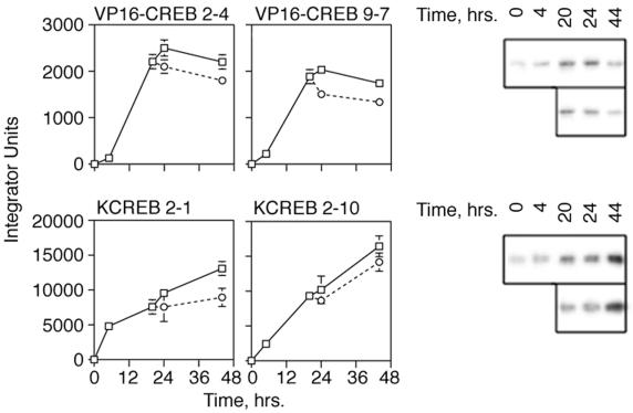 FIG. 3