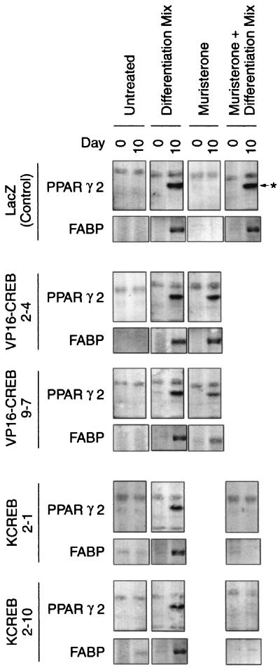 FIG. 6