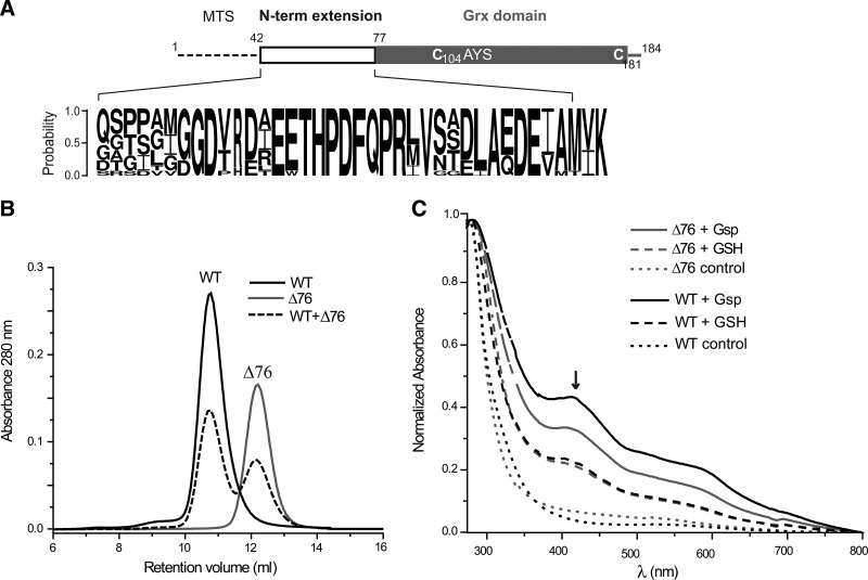 FIG. 1.