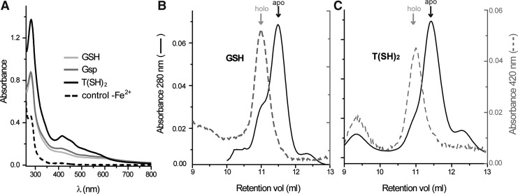 FIG. 3.