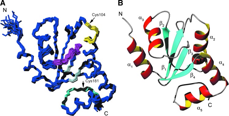 FIG. 6.