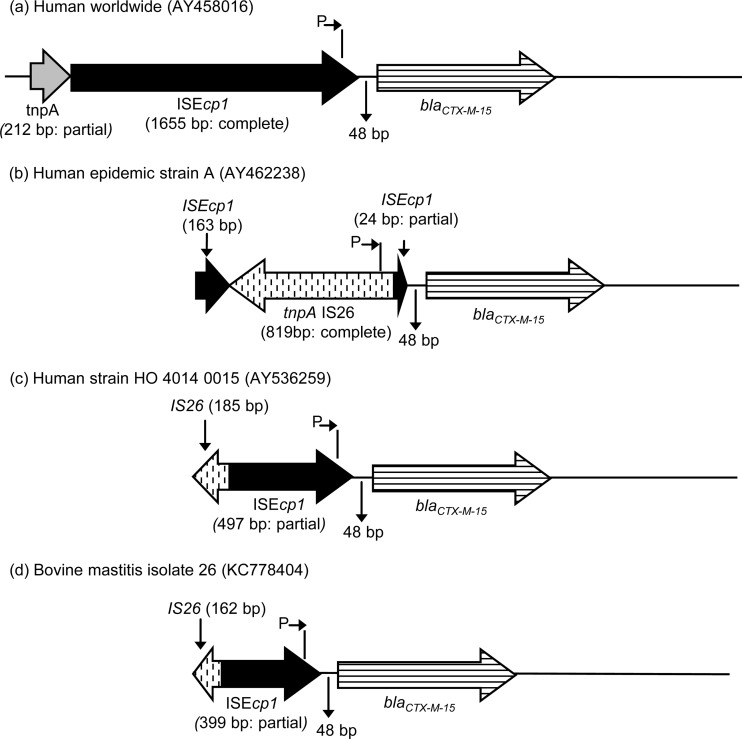 FIG 1