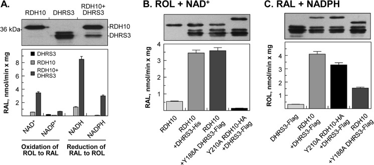 FIGURE 4.