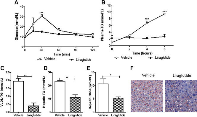 Figure 5