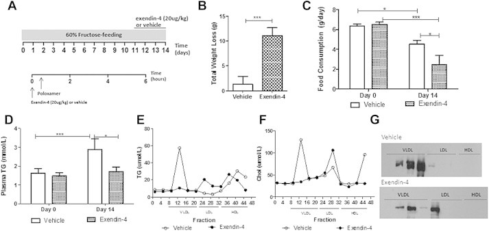 Figure 7