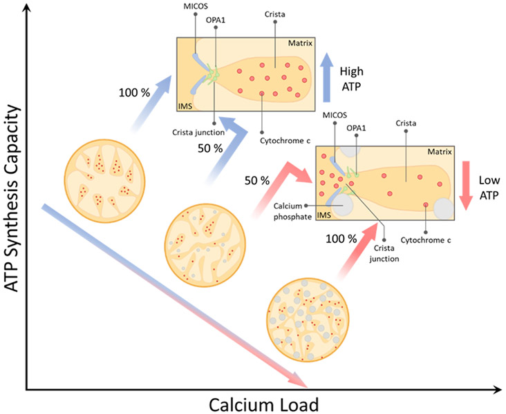 Figure 9.