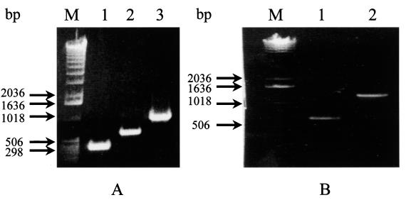 FIG. 1