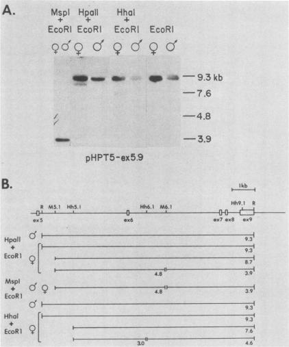 graphic file with name molcellb00087-0182-a.jpg