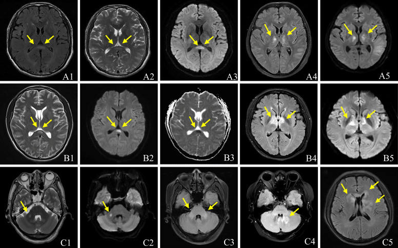 Figure 2