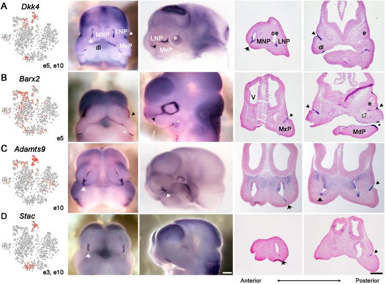 Fig. 6.