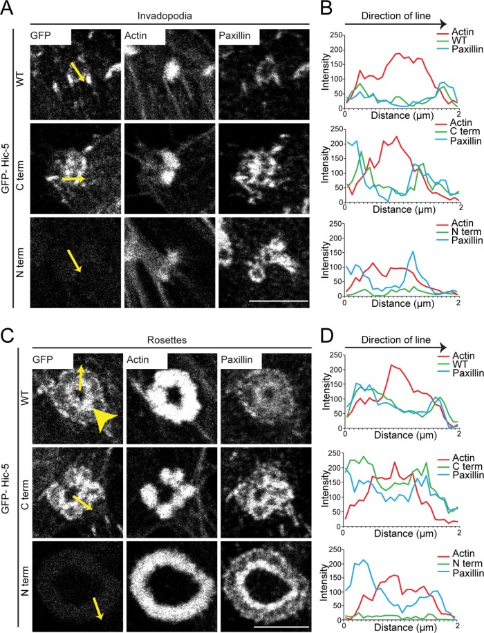 FIGURE 2: