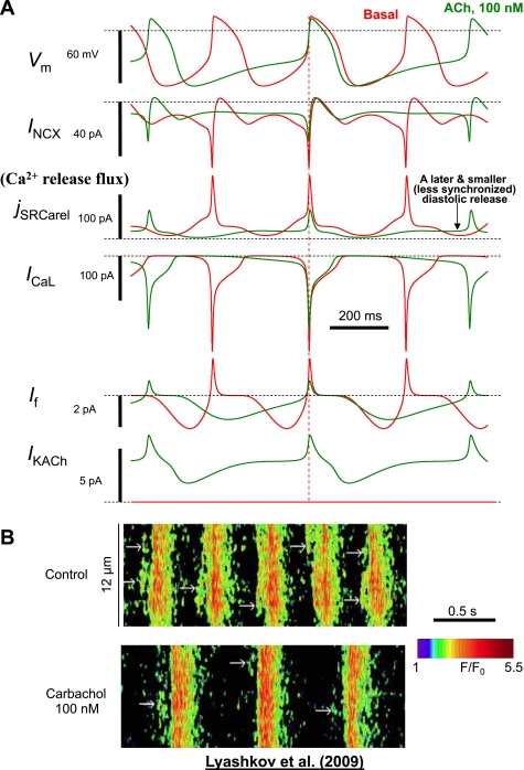 Fig. 6.