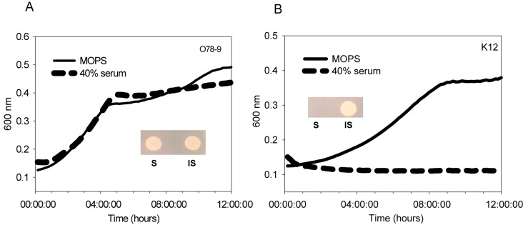 FIG 1 