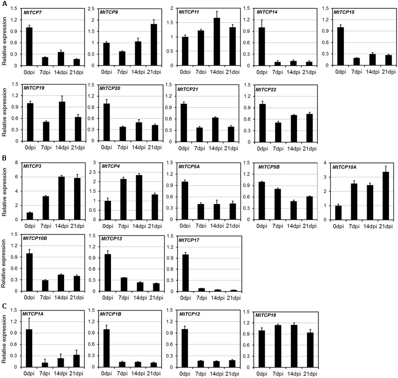 FIGURE 6