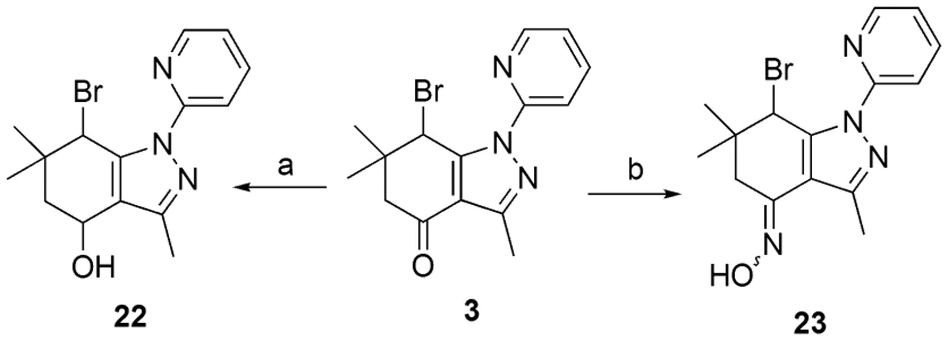 Scheme 4.