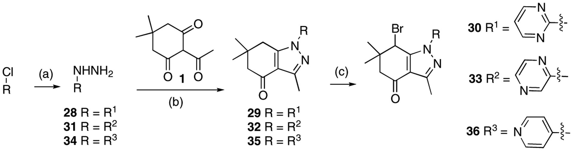 Scheme 7.