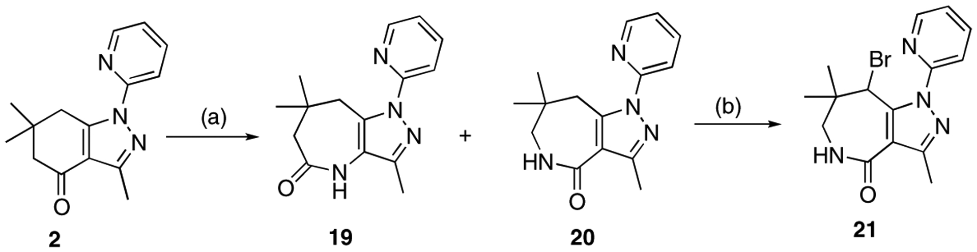 Scheme 3.