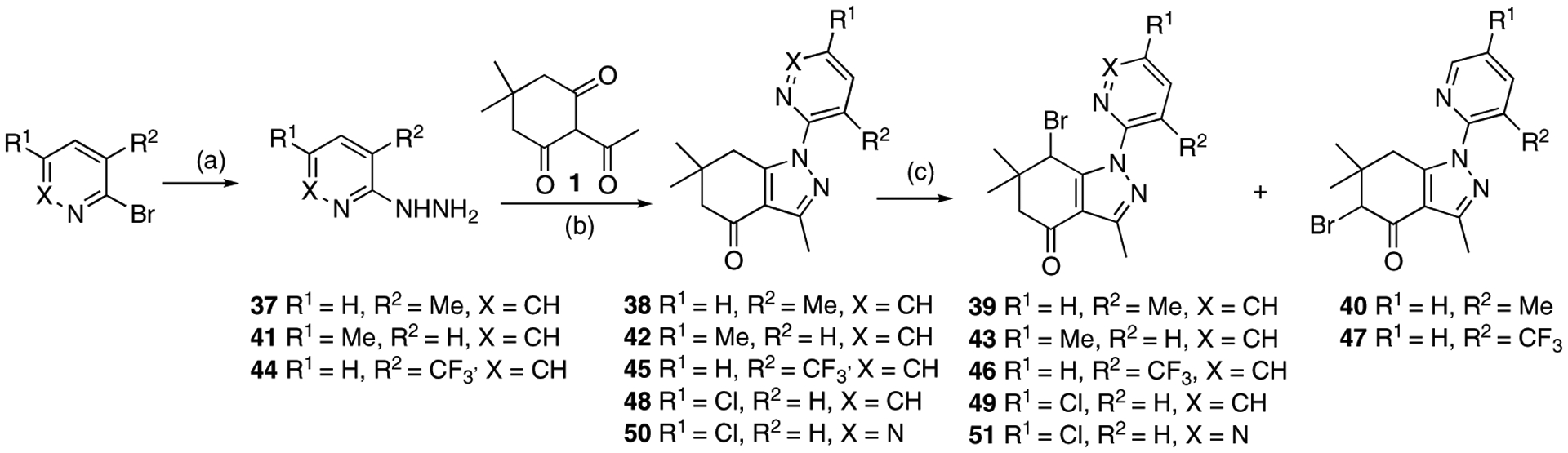 Scheme 8.