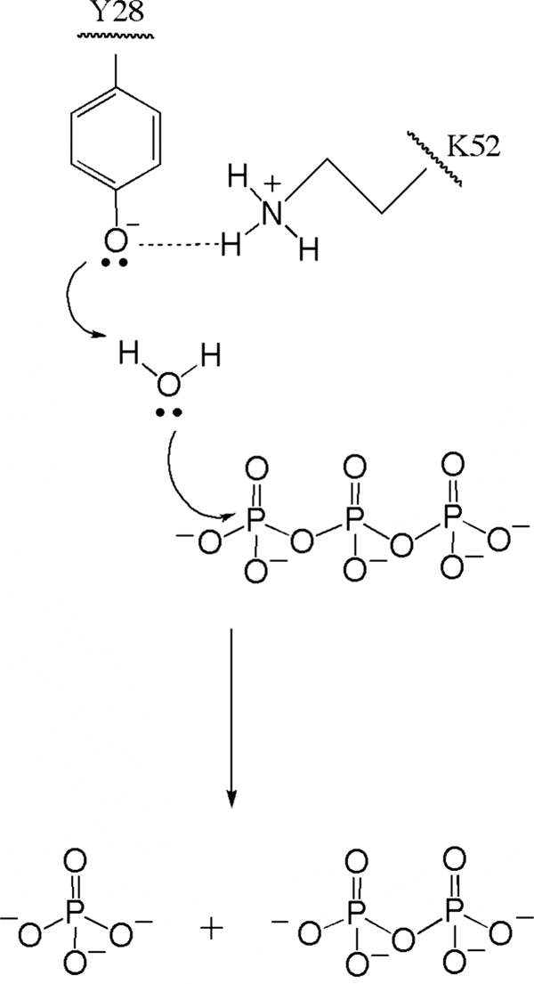 FIGURE 10.