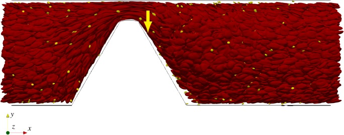 Figure 4.
