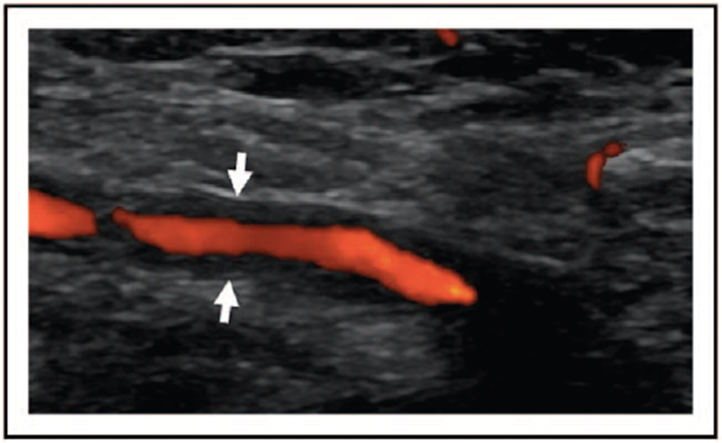 FIGURE 1.