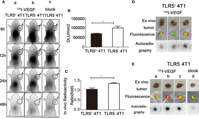 Figure 4