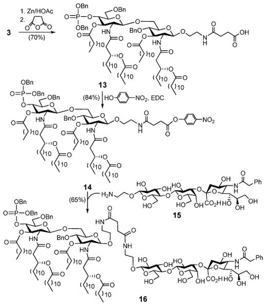 Scheme 2