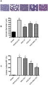 Fig 5