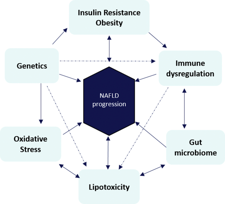 Figure 1