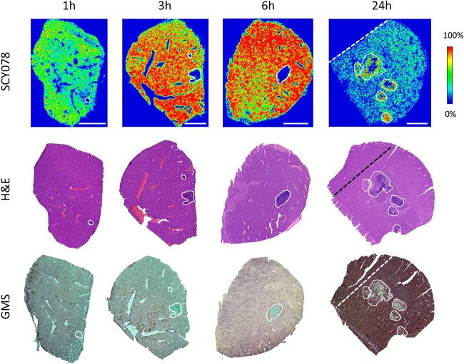 FIG 2