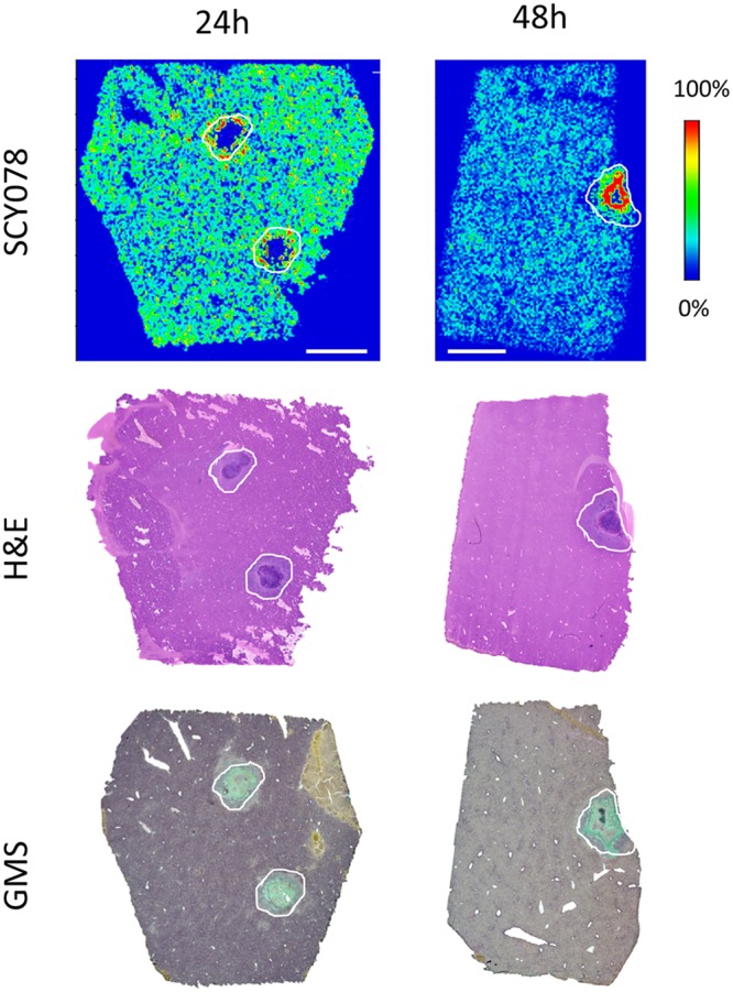 FIG 4