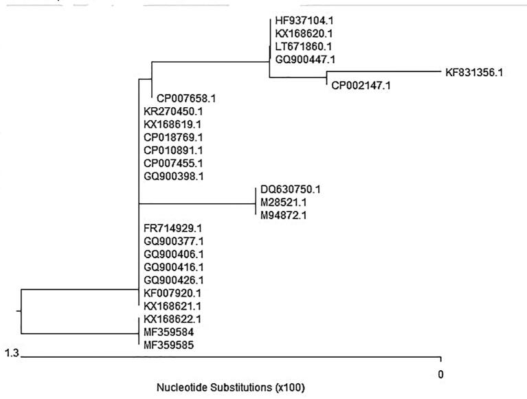 Fig. 3