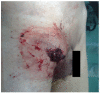 Figure 1:
