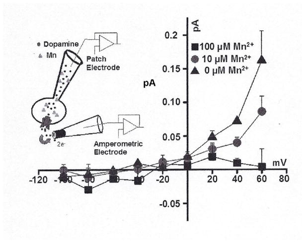 Fig. 7