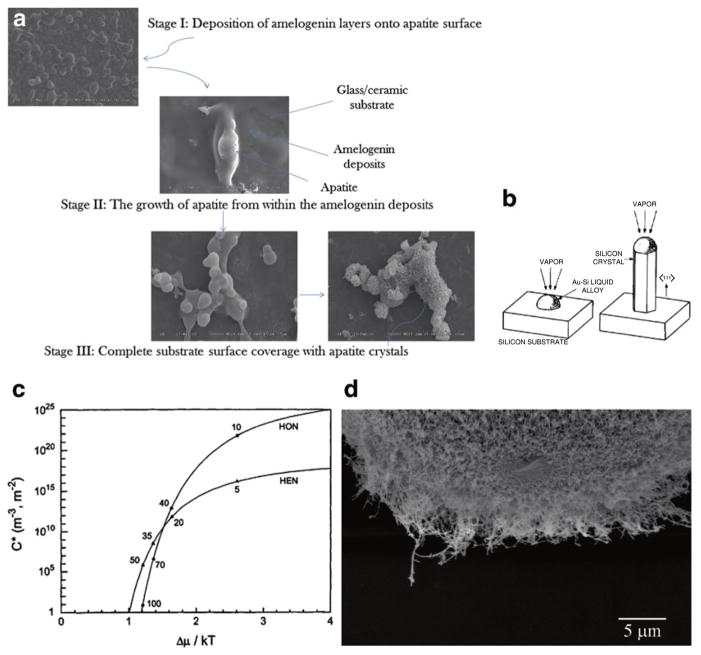 Fig. 13.3