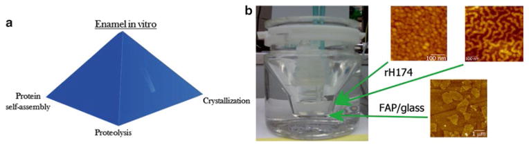 Fig. 13.5