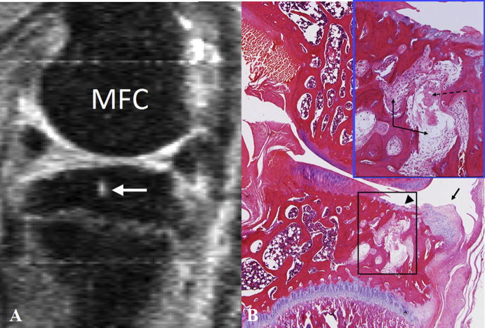 Figure 4