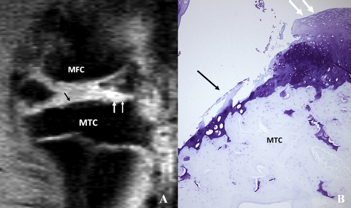 Figure 5