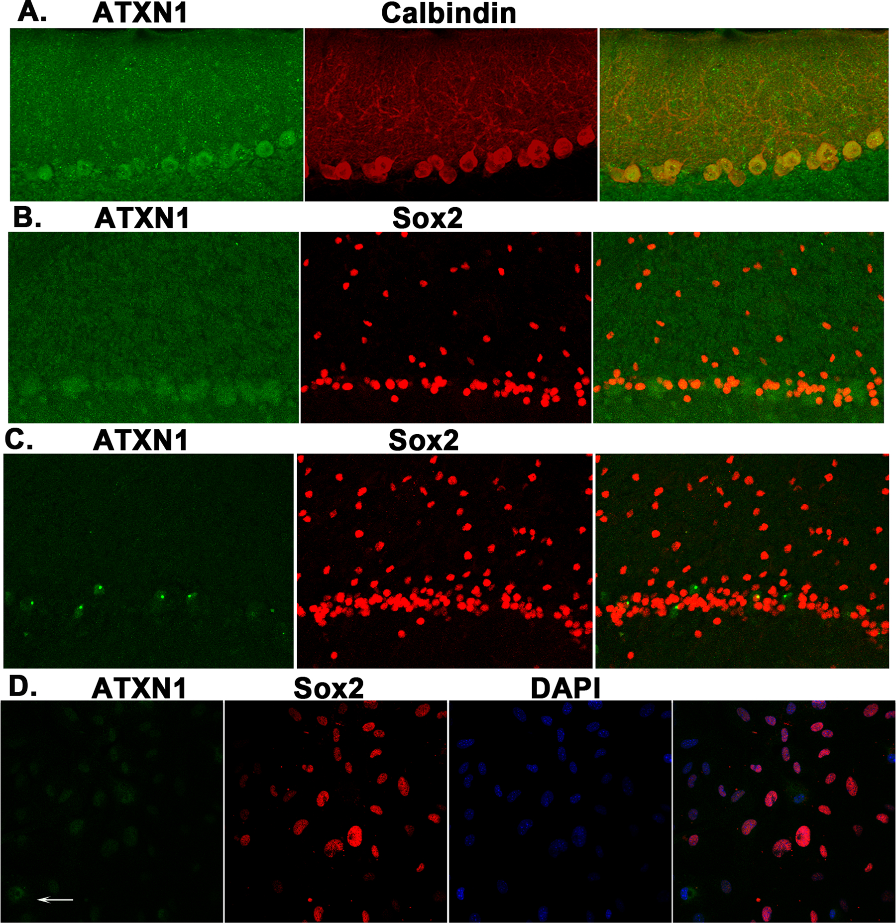 Figure 10.