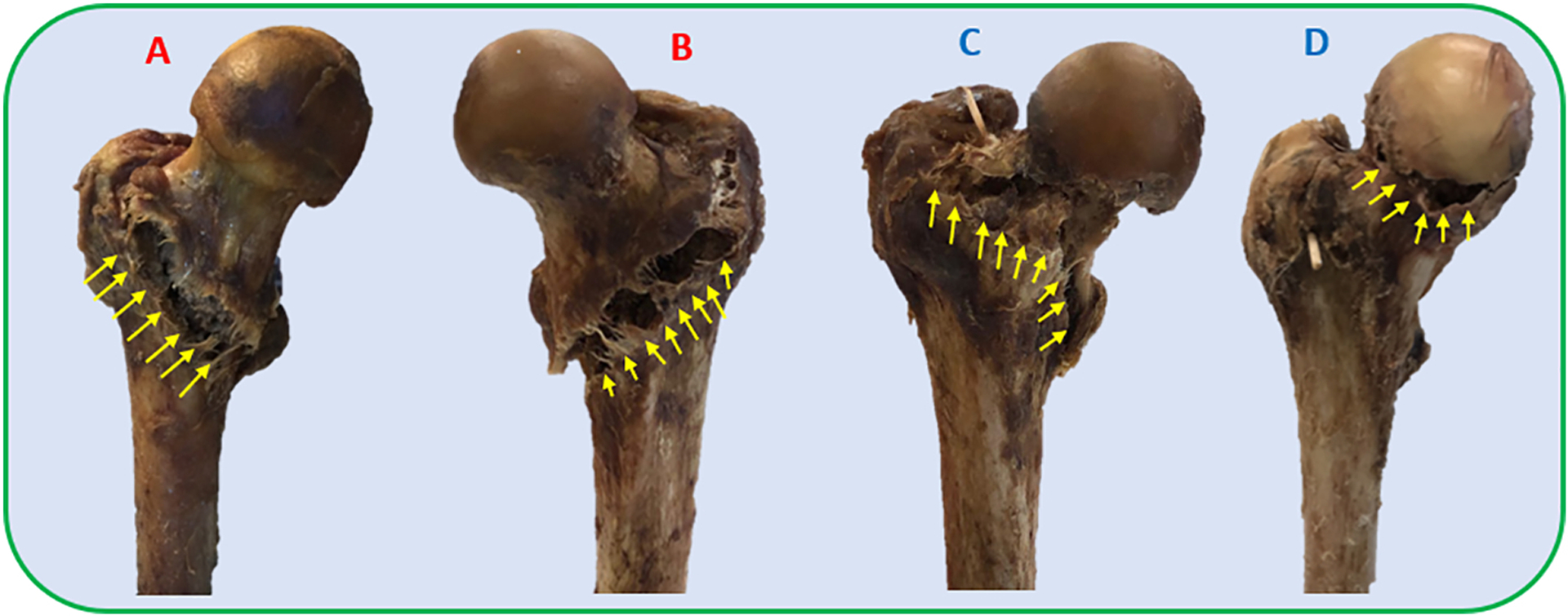 Figure 7 –