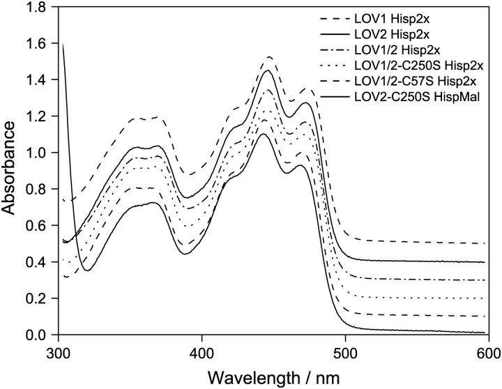 FIGURE 1