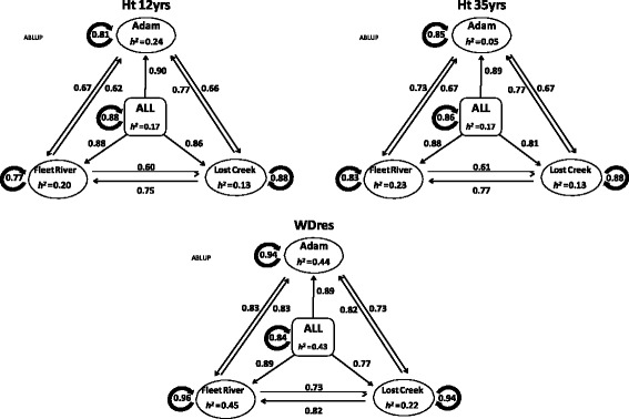 Fig. 3