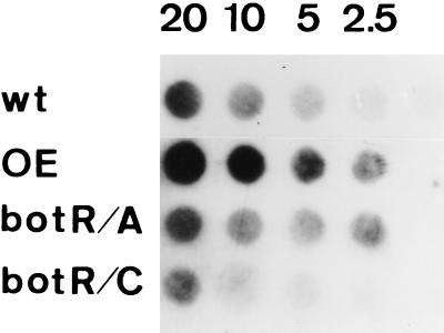 FIG. 6